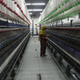 Cotton is spun into thread using sophisticated machinery that requires many fewer workers than cut and sew production. Photo by Sarah Labowitz.